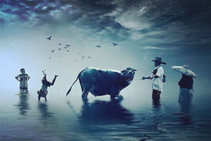 冬瓜虾皮蝴蝶面怎么做好吃？冬瓜虾皮蝴蝶面的家常做法